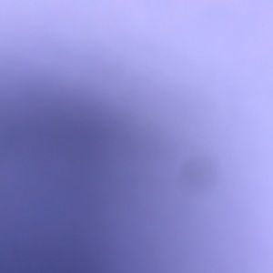 Meet your Posher, Nikki